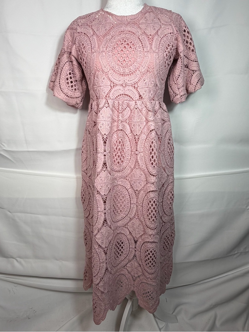 Anthropologie Maeve Arbor Lace Dress Lined Dusty Pink Small Barbie Coquette